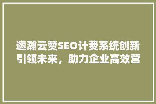 邈瀚云赞SEO计费系统创新引领未来，助力企业高效营销