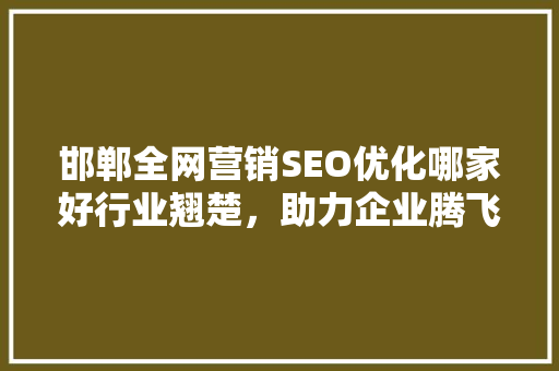 邯郸全网营销SEO优化哪家好行业翘楚，助力企业腾飞
