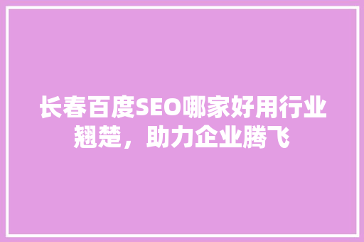 长春百度SEO哪家好用行业翘楚，助力企业腾飞