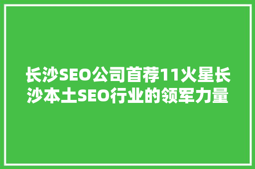 长沙SEO公司首荐11火星长沙本土SEO行业的领军力量