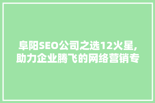 阜阳SEO公司之选12火星,助力企业腾飞的网络营销专家