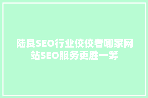 陆良SEO行业佼佼者哪家网站SEO服务更胜一筹
