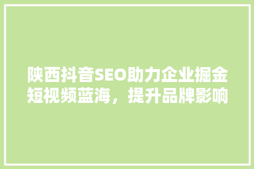 陕西抖音SEO助力企业掘金短视频蓝海，提升品牌影响力
