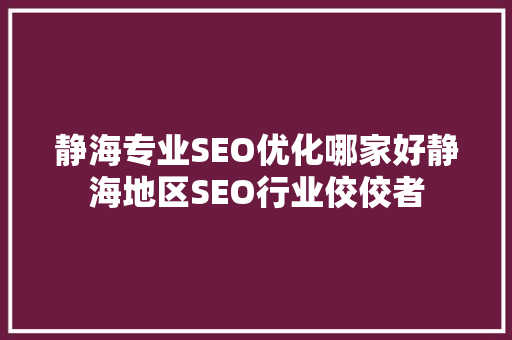 静海专业SEO优化哪家好静海地区SEO行业佼佼者