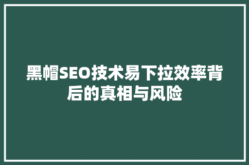 黑帽SEO技术易下拉效率背后的真相与风险