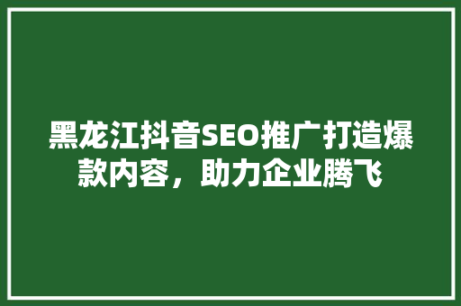 黑龙江抖音SEO推广打造爆款内容，助力企业腾飞