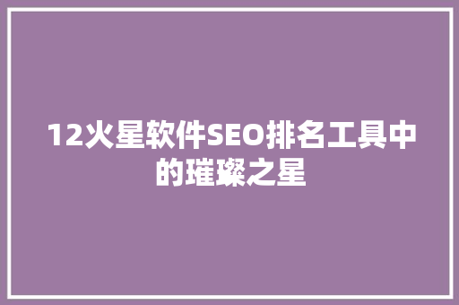 12火星软件SEO排名工具中的璀璨之星