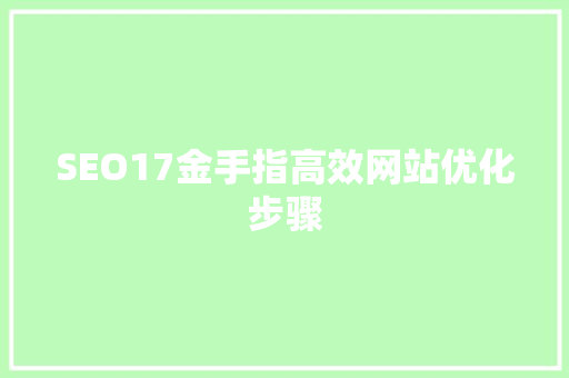 SEO17金手指高效网站优化步骤
