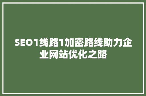 SEO1线路1加密路线助力企业网站优化之路