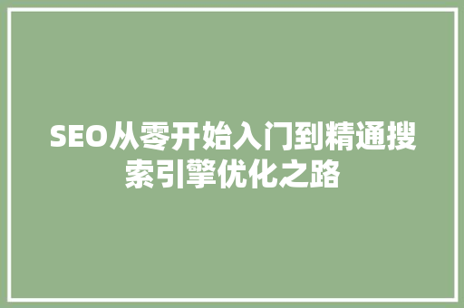 SEO从零开始入门到精通搜索引擎优化之路