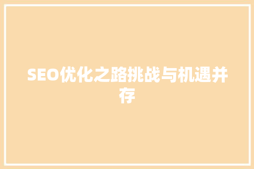 SEO优化之路挑战与机遇并存