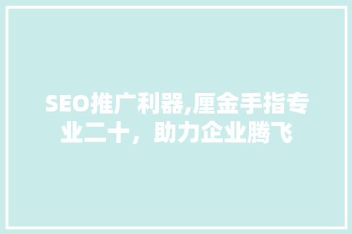 SEO推广利器,厘金手指专业二十，助力企业腾飞