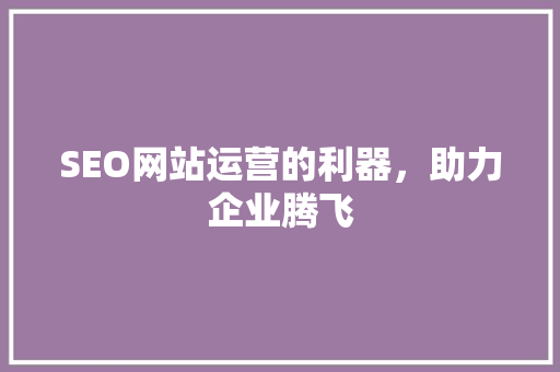 SEO网站运营的利器，助力企业腾飞