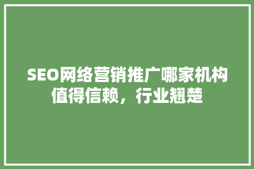 SEO网络营销推广哪家机构值得信赖，行业翘楚