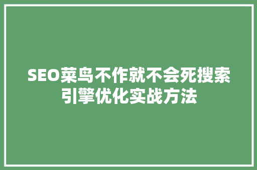 SEO菜鸟不作就不会死搜索引擎优化实战方法