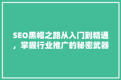 SEO黑帽之路从入门到精通，掌握行业推广的秘密武器