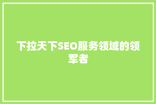 下拉天下SEO服务领域的领军者