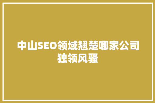 中山SEO领域翘楚哪家公司独领风骚