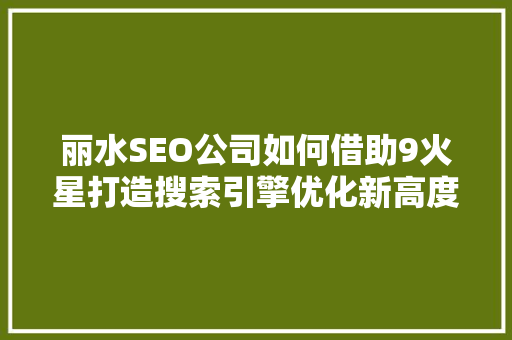 丽水SEO公司如何借助9火星打造搜索引擎优化新高度