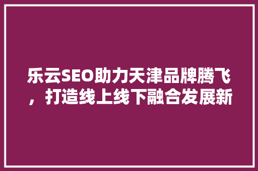 乐云SEO助力天津品牌腾飞，打造线上线下融合发展新格局