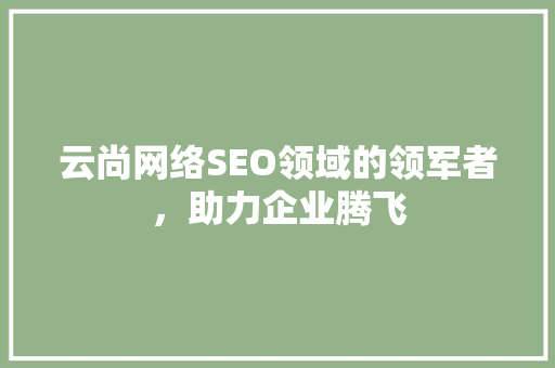 云尚网络SEO领域的领军者，助力企业腾飞