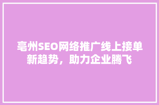 亳州SEO网络推广线上接单新趋势，助力企业腾飞