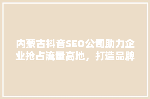 内蒙古抖音SEO公司助力企业抢占流量高地，打造品牌新引擎
