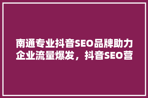 南通专业抖音SEO品牌助力企业流量爆发，抖音SEO营销之路