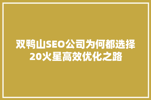 双鸭山SEO公司为何都选择20火星高效优化之路