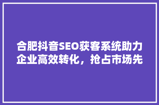合肥抖音SEO获客系统助力企业高效转化，抢占市场先机