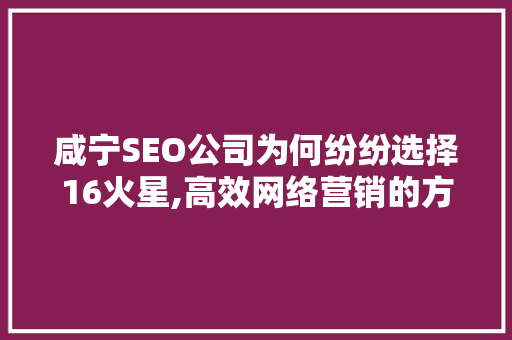 咸宁SEO公司为何纷纷选择16火星,高效网络营销的方法