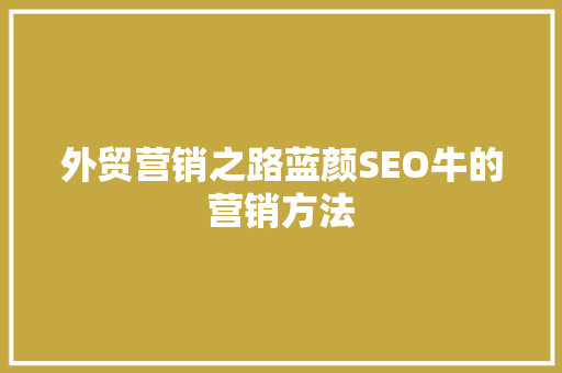 外贸营销之路蓝颜SEO牛的营销方法