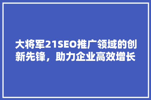 大将军21SEO推广领域的创新先锋，助力企业高效增长