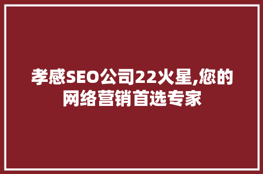 孝感SEO公司22火星,您的网络营销首选专家