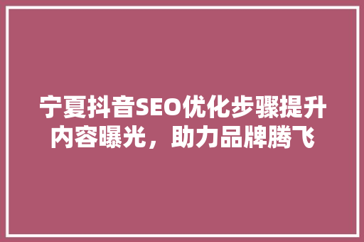 宁夏抖音SEO优化步骤提升内容曝光，助力品牌腾飞
