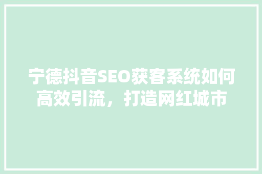 宁德抖音SEO获客系统如何高效引流，打造网红城市