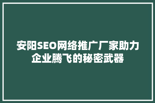 安阳SEO网络推广厂家助力企业腾飞的秘密武器
