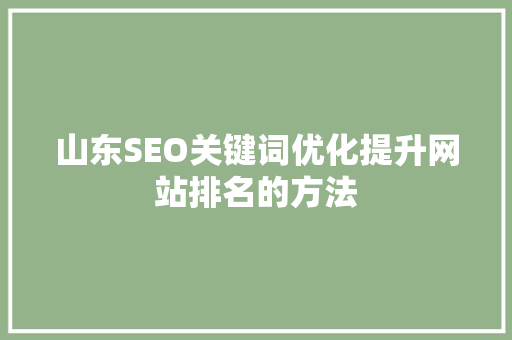 山东SEO关键词优化提升网站排名的方法