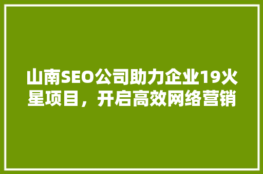 山南SEO公司助力企业19火星项目，开启高效网络营销新篇章