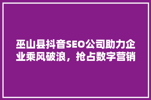巫山县抖音SEO公司助力企业乘风破浪，抢占数字营销新风口