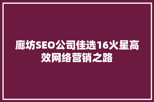 廊坊SEO公司佳选16火星高效网络营销之路