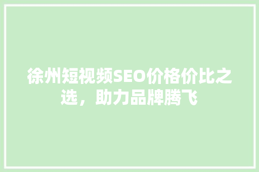 徐州短视频SEO价格价比之选，助力品牌腾飞
