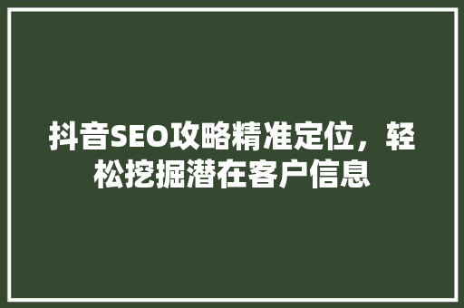 抖音SEO攻略精准定位，轻松挖掘潜在客户信息