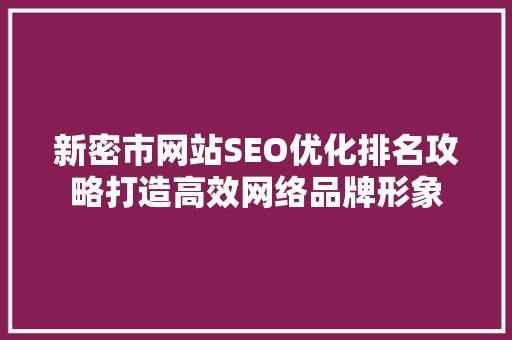 新密市网站SEO优化排名攻略打造高效网络品牌形象