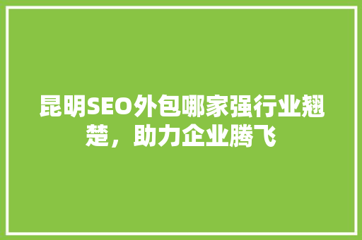 昆明SEO外包哪家强行业翘楚，助力企业腾飞