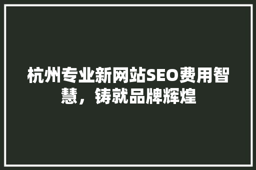 杭州专业新网站SEO费用智慧，铸就品牌辉煌