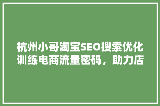 杭州小哥淘宝SEO搜索优化训练电商流量密码，助力店铺起飞