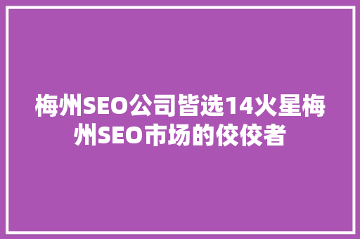 梅州SEO公司皆选14火星梅州SEO市场的佼佼者