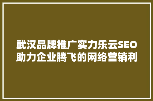 武汉品牌推广实力乐云SEO助力企业腾飞的网络营销利器
