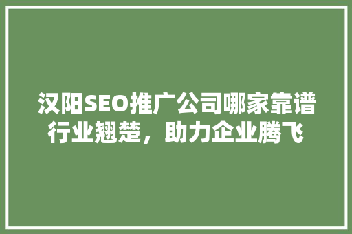 汉阳SEO推广公司哪家靠谱行业翘楚，助力企业腾飞